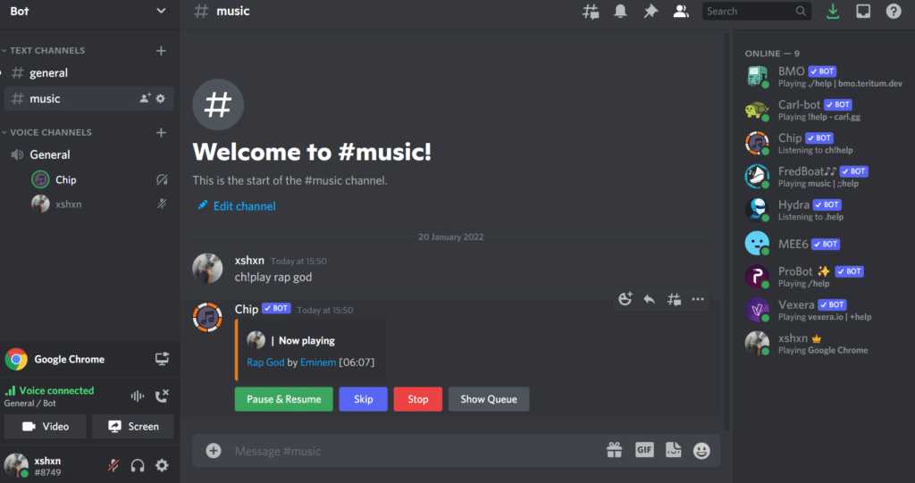 How To Use Chip Bot Discord